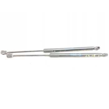 AMORTIGUADORES MALETERO / PORTON 315005777 
