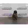 MOTOR ARRANQUE 11 DIENTES 