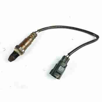 SONDA LAMBDA 31319385 