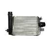 RADIADOR INTERCOOLER 144961019R 