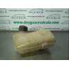 DEPOSITO EXPANSION 8200262036 