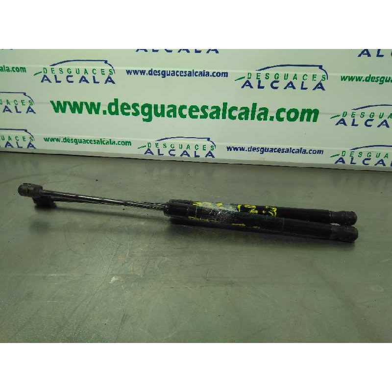 AMORTIGUADORES MALETERO / PORTON 42'5 CM 