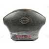 AIRBAG DELANTERO IZQUIERDO 6012384 