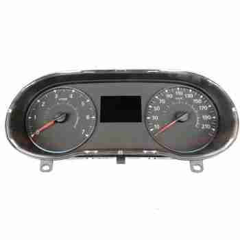 CUADRO INSTRUMENTOS 248102074R 