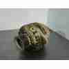 ALTERNADOR 8980060840 