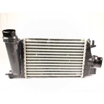 RADIADOR INTERCOOLER 144615FA0A 