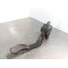 POTENCIOMETRO PEDAL 0280755084 5 PINES BOSCH