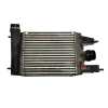 RADIADOR INTERCOOLER 144613ZU1B 