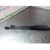 AMORTIGUADORES MALETERO / PORTON D10E63620 52'5 CM 