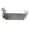 RADIADOR INTERCOOLER 9800291280 