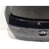 PORTON TRASERO 737004P560 