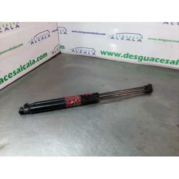 AMORTIGUADORES CAPO LR009106 41 CM 