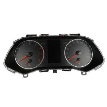 CUADRO INSTRUMENTOS 248094722R 