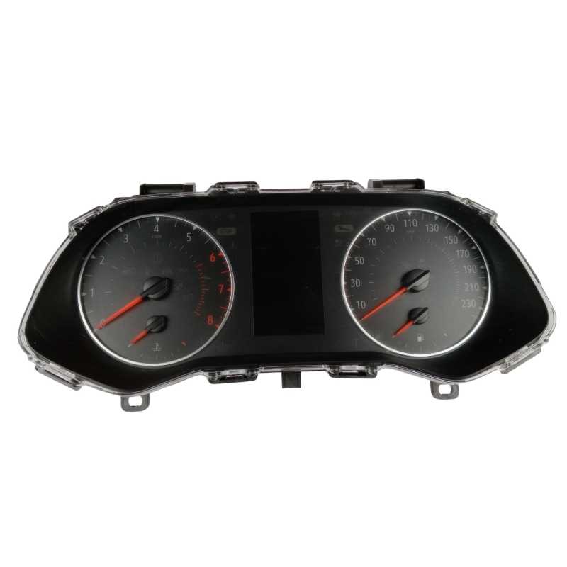 CUADRO INSTRUMENTOS 248094722R 