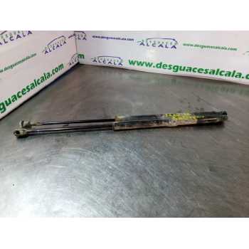 AMORTIGUADORES MALETERO / PORTON 53'5 CM 