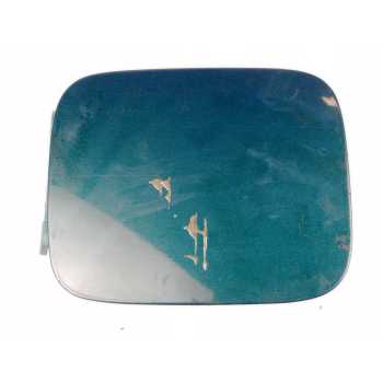 TAPA EXTERIOR COMBUSTIBLE 