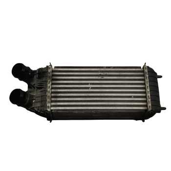 RADIADOR INTERCOOLER 9803900780 