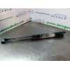 AMORTIGUADORES MALETERO / PORTON 51247239871 47'5 CM 