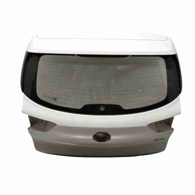 PORTON TRASERO 10691021 