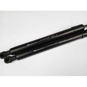 AMORTIGUADORES MALETERO / PORTON 844301324R 