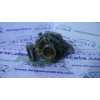 ALTERNADOR 2S6T-10300-CB A005TA7692 