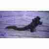 POTENCIOMETRO PEDAL 04891585AB 06089B3A 24936F 43691723029