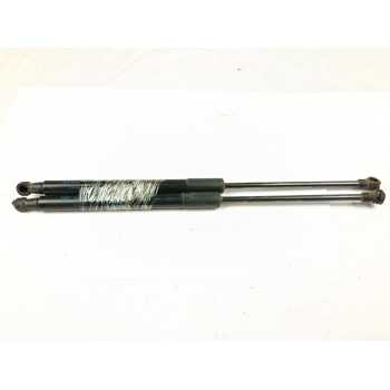 AMORTIGUADORES MALETERO / PORTON 689600D160 