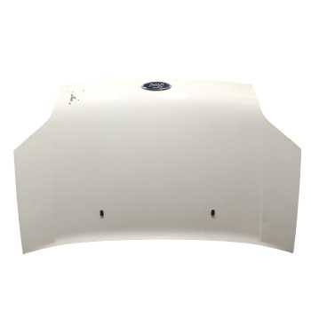 CAPOT 4503736 P2T14V16610AB 