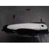 MANETA EXTERIOR DELANTERA IZQUIERDA 806404EA0B ARAÑADO 806114EA0A