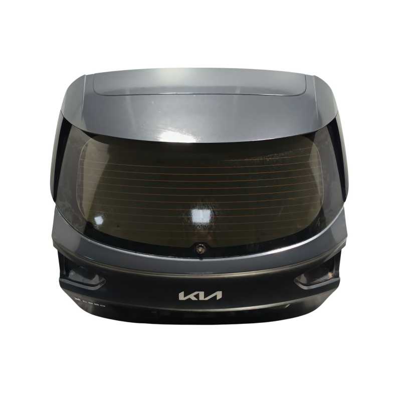 PORTON TRASERO 73700J7800 