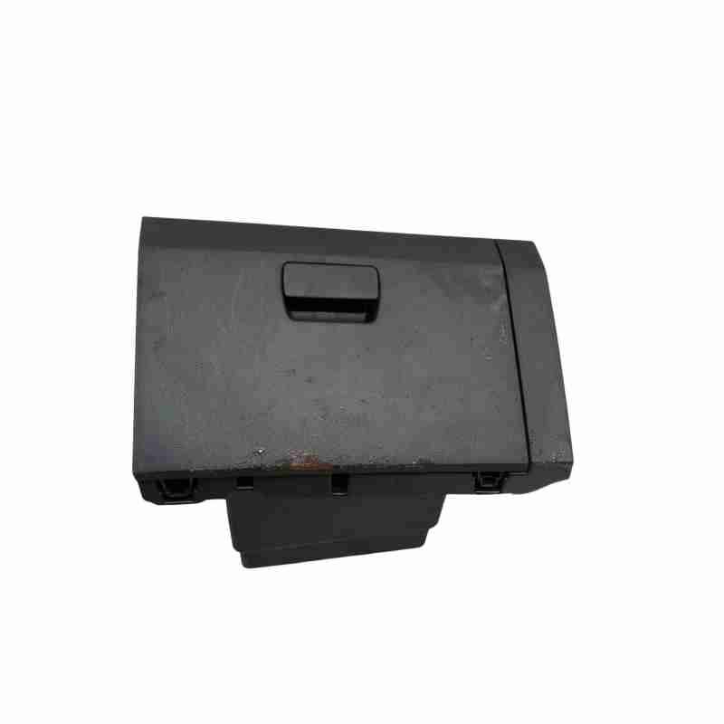 GUANTERA 685009119R 