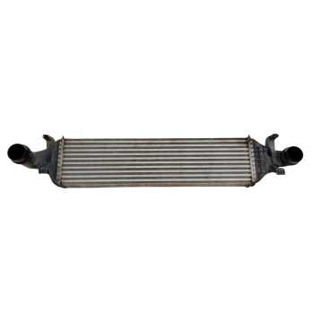 RADIADOR INTERCOOLER A2465000900 