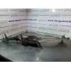 MOTOR LIMPIA DELANTERO 1397220567 4 PINES 
