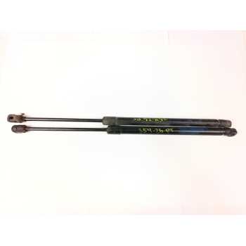AMORTIGUADORES MALETERO / PORTON 904508505R 