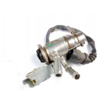 INYECTOR ADBLUE 208995377R 