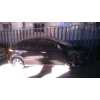 honda civic berlina 5 (fk) del año 2008