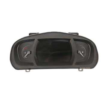 CUADRO INSTRUMENTOS 248101948R 