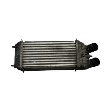 RADIADOR INTERCOOLER 9803900780 