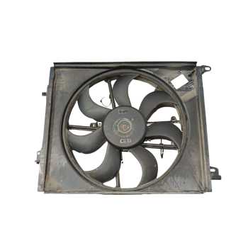 ELECTROVENTILADOR 214819674R 