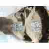 DIFERENCIAL TRASERO MB664205 