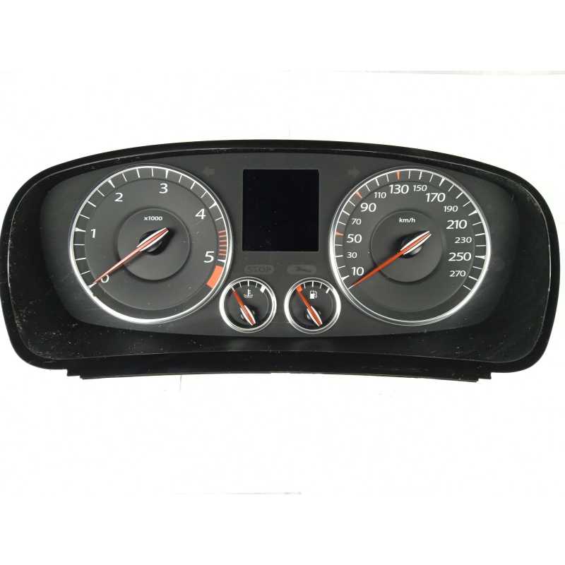 CUADRO INSTRUMENTOS 248100021R 