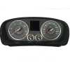CUADRO INSTRUMENTOS 248100021R 
