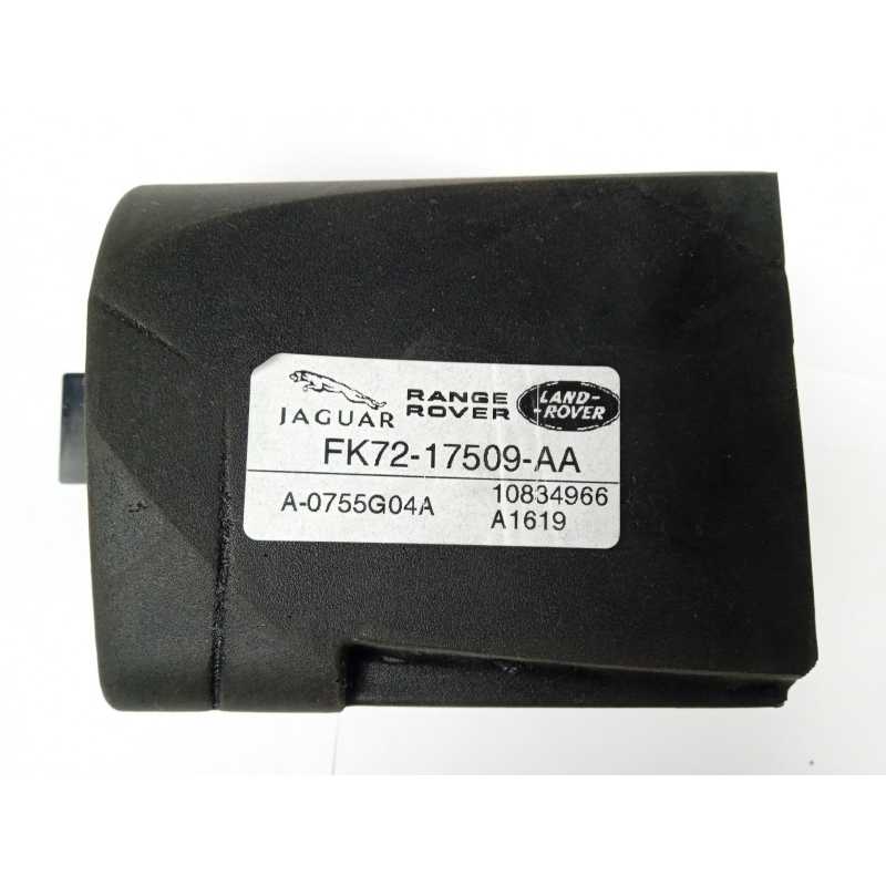 MODULO ELECTRONICO FK7217509AA 