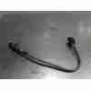 SONDA LAMBDA 8201395330 