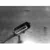 SONDA LAMBDA 8201395330 