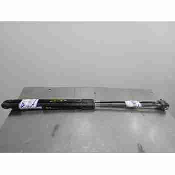 AMORTIGUADORES MALETERO / PORTON 39021480 