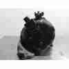 ALTERNADOR 764013103 
