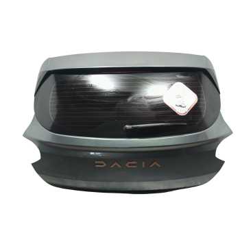 PORTON TRASERO 901007604R 