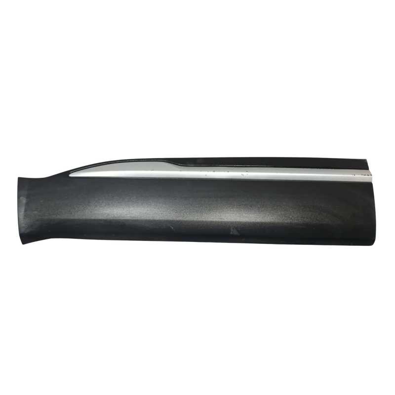 MOLDURA PUERTA DELANTERA IZQUIERDA 609001319AA 