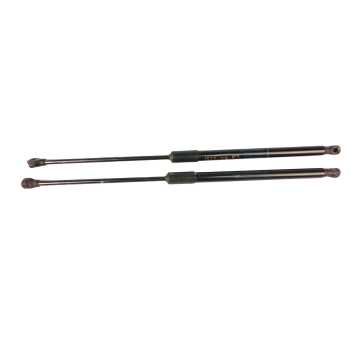 AMORTIGUADORES MALETERO / PORTON 904508213R 